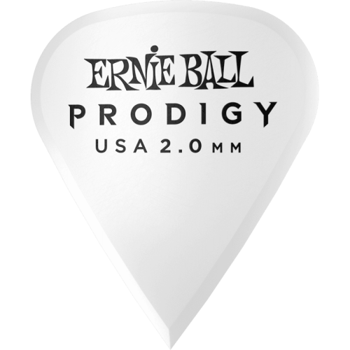 ERNIE BALL P09341